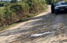 Sinop Korucuk Mahallesi sakinlerinden yol problemine tepki