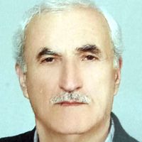 Hamdi BAŞ