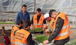Bafra Belediyesi mesleki liseden mezun olan öğrencilerle ilçeyi güzelleştiriyor