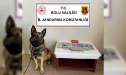 Bolu'da yabancı uyruklu kadın yolcu otobüsünde uyuşturucu ile yakalandı