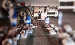 GÜNCELLEME - Düzce'de bir tırdaki varillerde 11,8 kilogram uyuşturucu bulundu