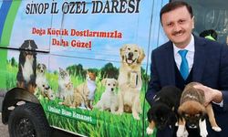 İl Özel İdaresi ‘can dostları’ için yollarda