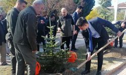 Kargı ilçesinde bin fidan toprakla buluşturuldu