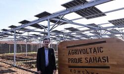Agrivoltaik sistemle tarım ürünleri ve güneş panelleri aynı tarlada buluştu