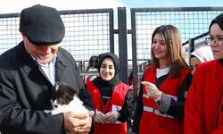 Bayburt'taki rehabilitasyon merkezi "can dostlara" şifa dağıtıyor