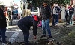 Giresun'da su tahliye borusuna sıkışan köpek yavrusu kurtarıldı