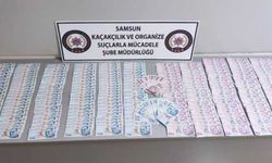 GÜNCELLEME - Samsun'da sahte parayla yakalanan zanlı serbest bırakıldı