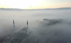 Sakarya, Düzce, Bolu ve Bartın'da sis etkili oluyor
