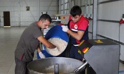Samsun'da şehrin artan yemekleri can dostlara "mama" oluyor