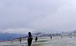 Tokat'ta 4 gündür kayıp olan kadın aranıyor
