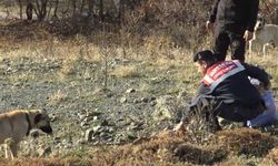 Tokat'ta off-road pilotları yaban hayvanları için doğaya yem bıraktı