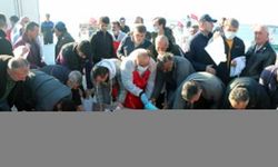 Zonguldak'ta hamsi festivalinde 15 ton balık dağıtıldı