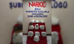 Anadolu Otoyolu'nda durdurulan minibüste 12 kilo 100 gram esrar ele geçirildi