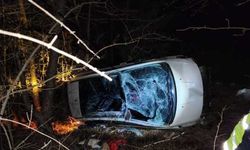 Bolu'da ağaçlık alana devrilen otomobildeki 2 kişi yaralandı
