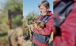 Çocuğu gibi gördüğü 50'den fazla kedi için köyünden ayrılmıyor
