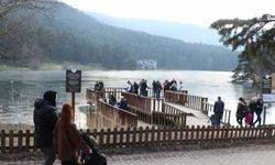 Düzce ve Bolu'daki parklarda sıcak hava yoğunluğu