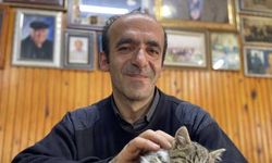 Hıdırnebi Yaylası'nda kediler üşümesin diye her gün soba yakıyor