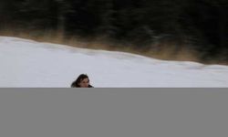 Ilgaz Dağı'na gelenler kar yetersizliği nedeniyle sadece kızakla kayabildi