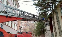 İskilip'te itfaiyenin kurtardığı baykuş ve güvercin doğaya salındı