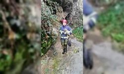 Karabük'te dereye düşen köpek yavrusunu itfaiye kurtardı