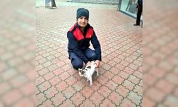 Karabük'te mazgal boşluğuna düşen yavru kedi kurtarıldı