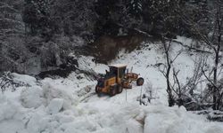 Kastamonu'da kar nedeniyle kapanan köy yolu ulaşıma açıldı