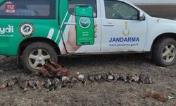 Kızılırmak Deltası Kuş Cenneti'nde kaçak avcılık yapan 2 kişi yakalandı