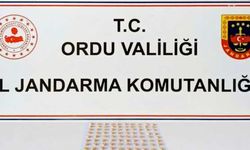 Ordu'da "torbacı" operasyonunda bir kişi tutuklandı