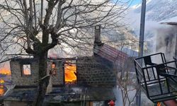 Rize'de çıkan yangında 2 ev, 1 otomobil zarar gördü