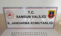 Samsun'da çeşitli dönemlere ait 101 sikke ele geçirildi