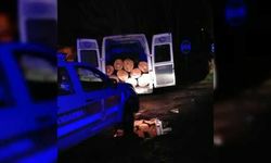 Samsun'da ehliyetsiz sürücünün aracında kaçak kesilmiş 5 ton odun ele geçirildi