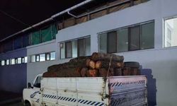 Samsun'da kaçak kesilmiş 7 ton odun ele geçirildi