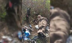 Samsun'da kayıp kişi iz takip köpeğinin yardımıyla bulundu
