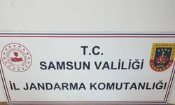 Samsun'da tarihi eser operasyonunda 2 zanlı yakalandı