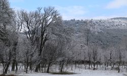 Kastamonu'da yüksek kesimlerde kar etkili oldu
