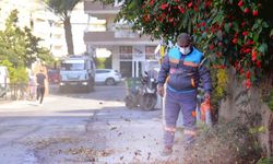 Alanya Belediyesi şehrin temizliğinde 7/24 görevde