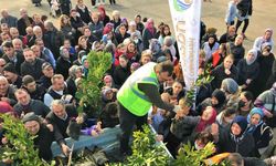 Altınordu Belediyesi 341 bin fidanı toprakla buluşturdu