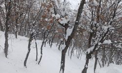 Batmanda 80 köy yolu kar yağışı nedeniyle ulaşıma kapandı