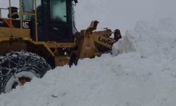 Batman’da kar yağışı etkili oldu: Köy yolları ulaşıma kapandı