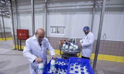 Bayındır Süt İşleme Fabrikasında test üretimi başladı