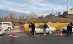 Kastamonu’da uyuşturucu arama köpeği "CEKU" ile denetimler devam ediyor