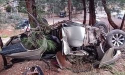 Otomobil ormanlık alana uçtu: 1 ölü, 2 yaralı
