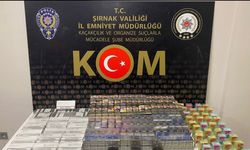 Şırnak’ta kaçakçılık, asayiş ve terör şüphelisi 49 kişiye işlem yapıldı