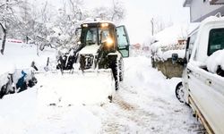 Sinop'ta 12 köy yolu kar nedeniyle kapalı