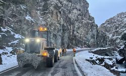 Artvin-Ardahan kara yolunda heyelan meydana geldi