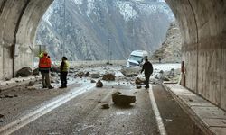 Artvin'de yamaçtan kopan kayaların isabet ettiği minibüsteki 4 kişi yaralandı