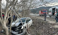 Karabük'te ağaca çarpan otomobildeki 2 kişi yaralandı