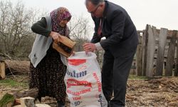 Makbule nine depremzedeler için komşularıyla odun çuvallıyor