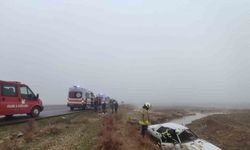 Nusaybin’de kontrolden çıkan otomobil su kanalı düştü: 4 yaralı