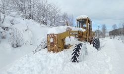Ordu’da karla kapanan 197 mahalle yolu ulaşıma açıldı